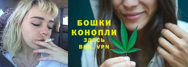 ГАЛЛЮЦИНОГЕННЫЕ ГРИБЫ Коряжма