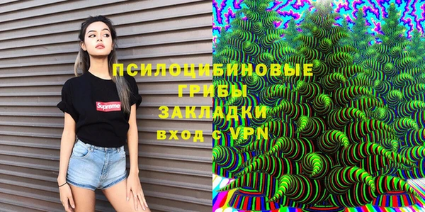 ГАЛЛЮЦИНОГЕННЫЕ ГРИБЫ Коряжма