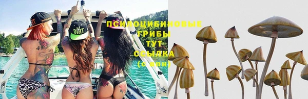 экстази Корсаков