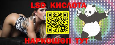 mdpv Канаш