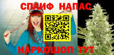 jwh Кандалакша