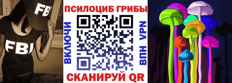купить наркоту  Калуга  Псилоцибиновые грибы Psilocybine cubensis 