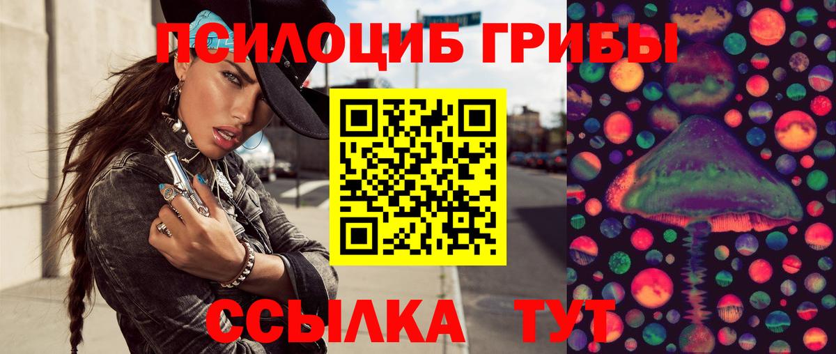 Галлюциногенные грибы мицелий Калуга