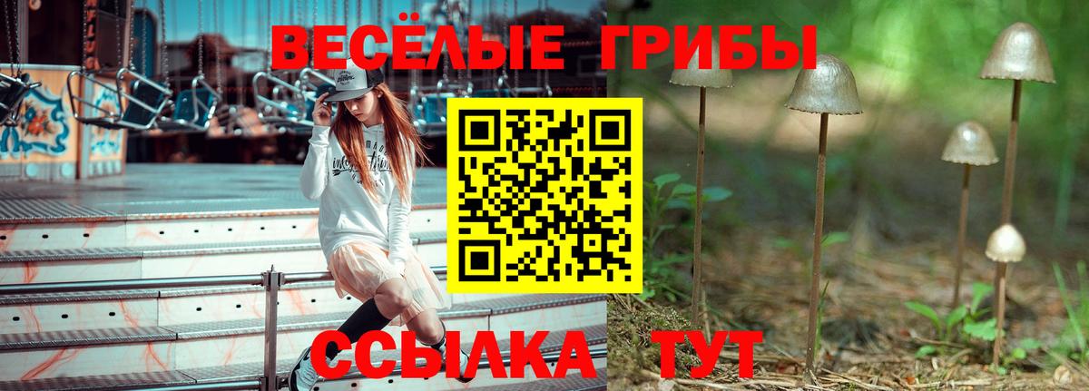 Галлюциногенные грибы MAGIC MUSHROOMS Калуга