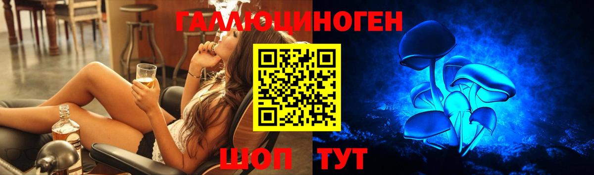 Калуга  Галлюциногенные грибы Cubensis  Вход с VPN 